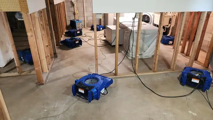 Water Damage Cleanup