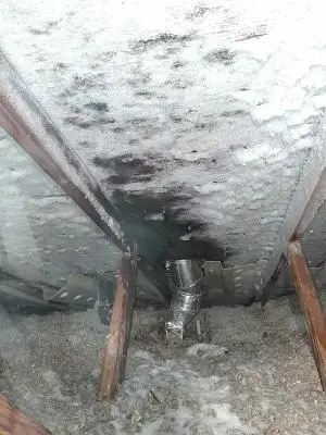 Ice Dam Water Damage Cleanup in Elk River