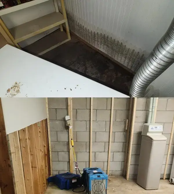 Appliance Water Damage Cleanup in Elk River